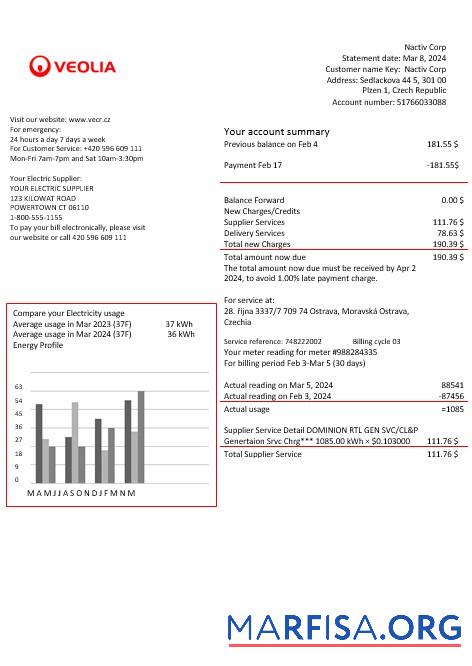 Blank Czechia Veolia Energy Czech Republic energy business utility bill in word and pdf formats1 example